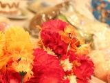 Tn IMG 2435